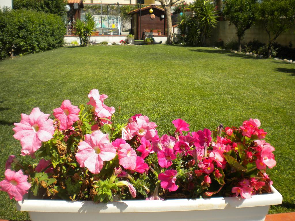 Casa Vacanze Domusangela 마테라 외부 사진